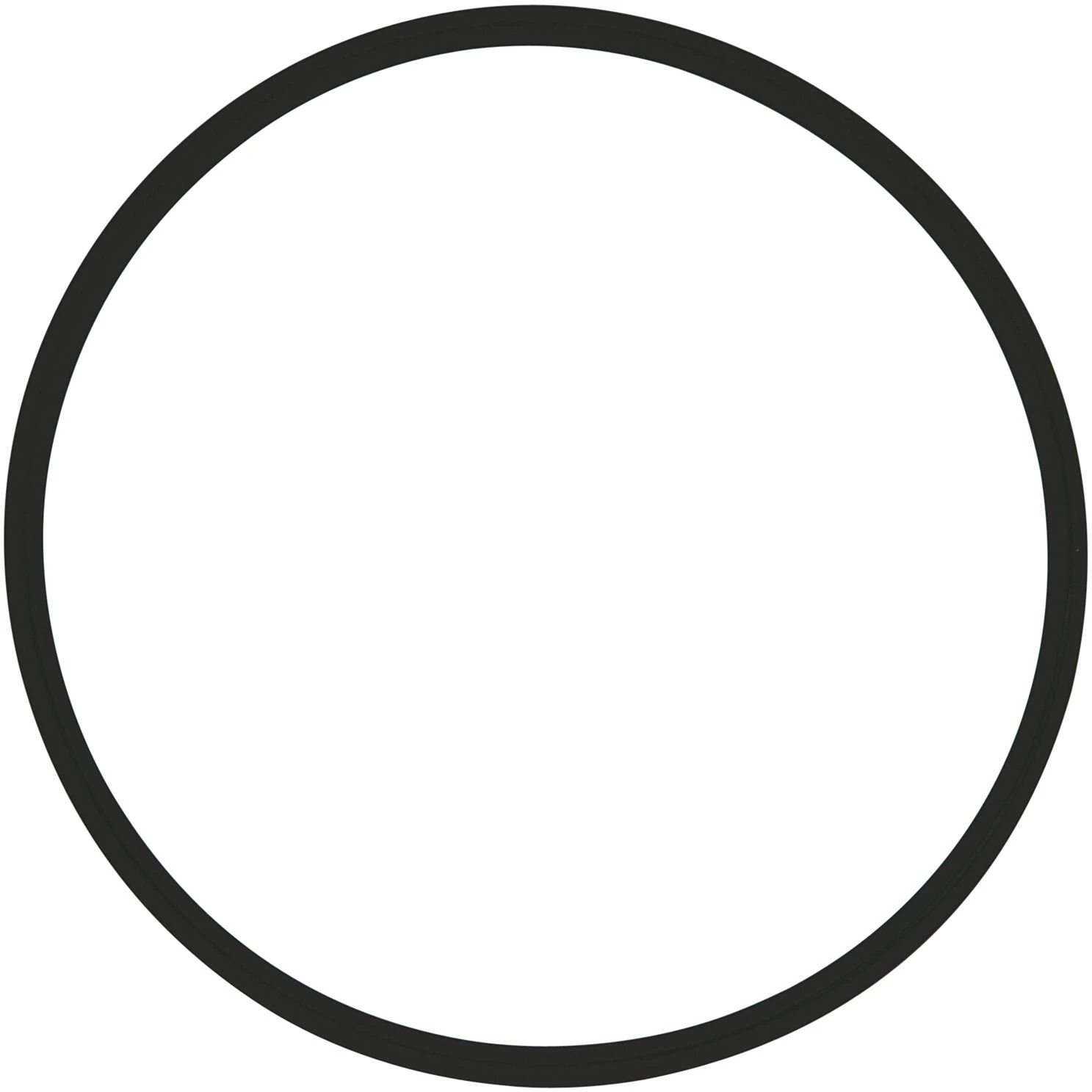 Syr - Sasserath O-Ring 2315.01.922 Zur Filtertasse, Für DRUFI + 3 Syr - Sasserath O-Ring 2315.01.922 Zur Filtertasse, Für DRUFI +